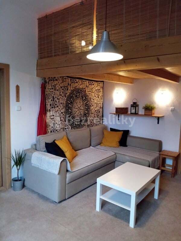 1 bedroom with open-plan kitchen flat to rent, 40 m², Jičínská, Prague, Prague 1 bedroom with open-plan kitchen flat to rent, 40 m², Jičínská, Prague, Prague