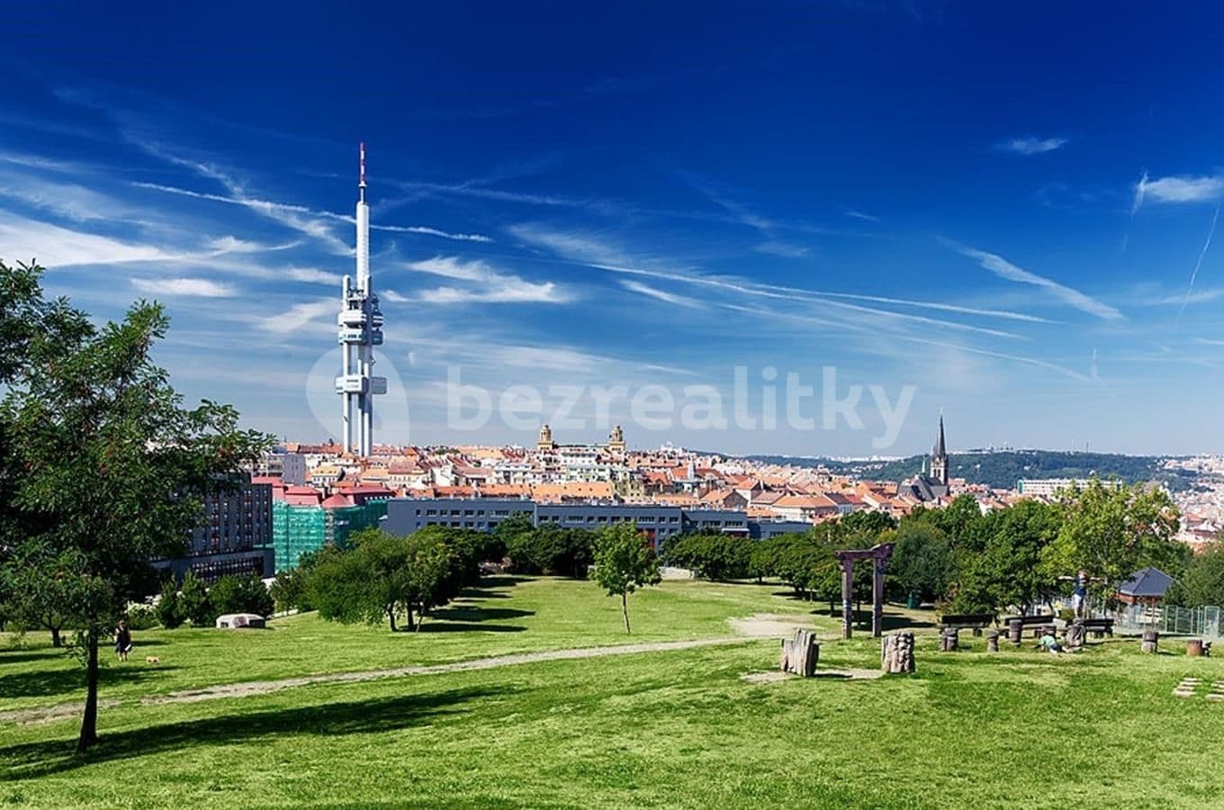 1 bedroom with open-plan kitchen flat to rent, 40 m², Jičínská, Prague, Prague 1 bedroom with open-plan kitchen flat to rent, 40 m², Jičínská, Prague, Prague
