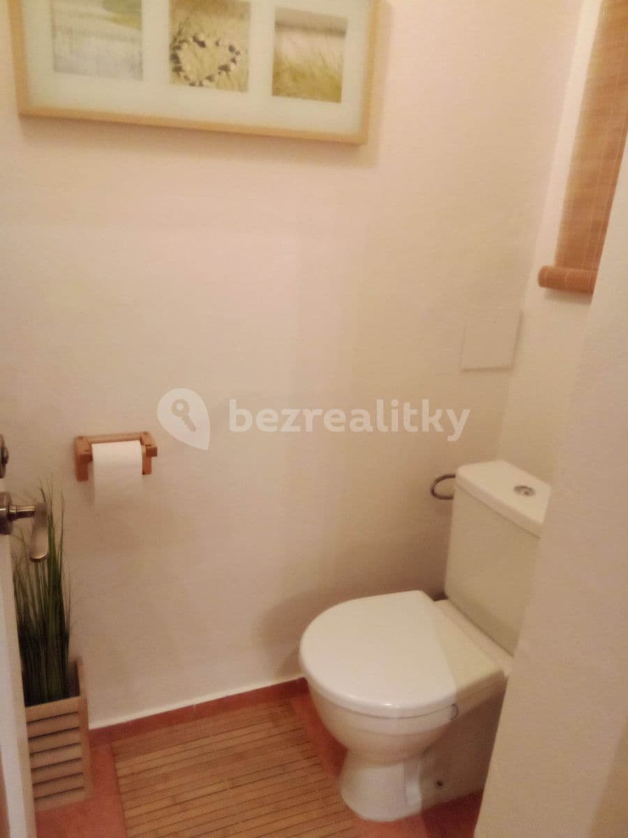 1 bedroom with open-plan kitchen flat to rent, 40 m², Jičínská, Prague, Prague 1 bedroom with open-plan kitchen flat to rent, 40 m², Jičínská, Prague, Prague