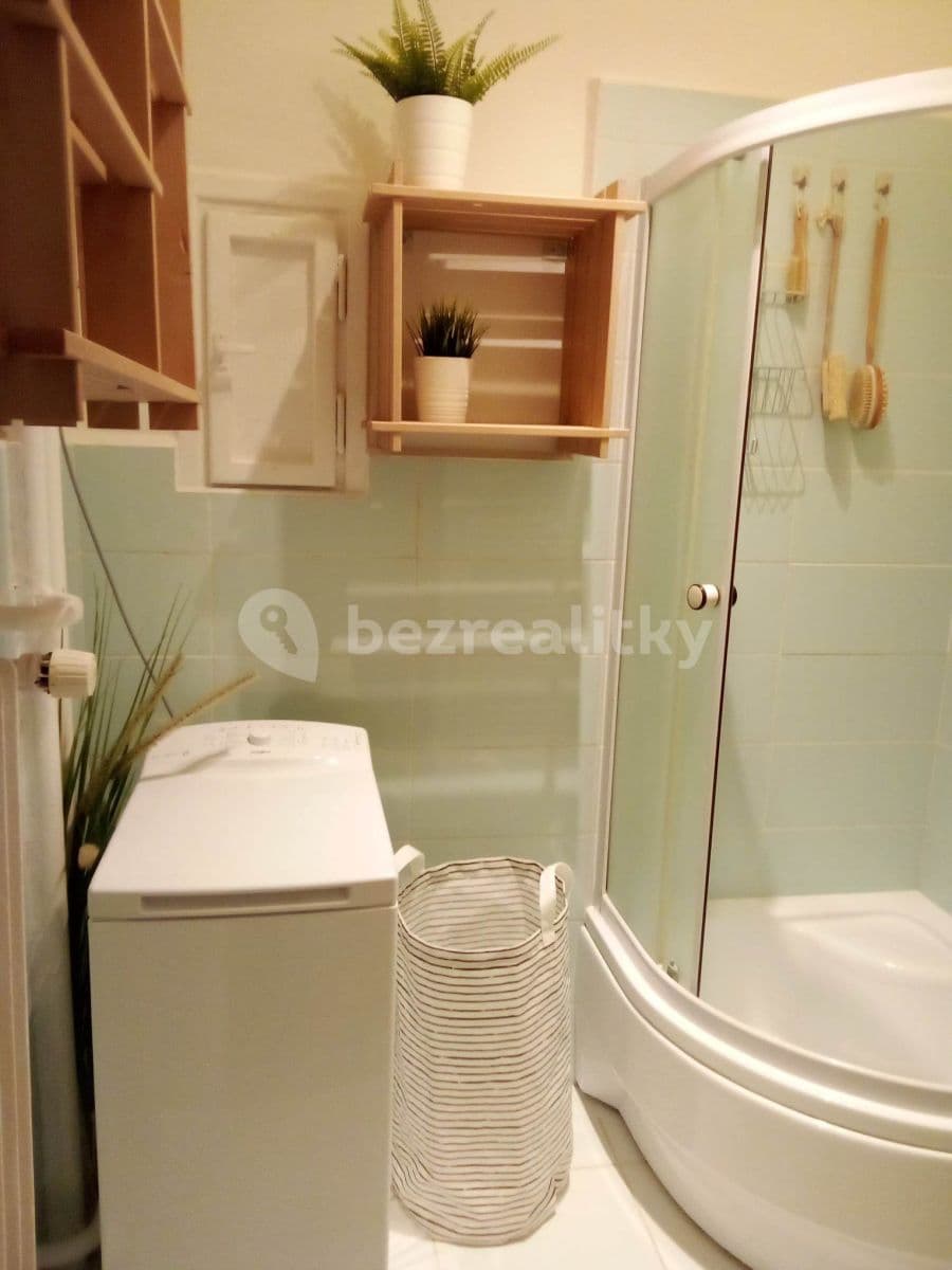 1 bedroom with open-plan kitchen flat to rent, 40 m², Jičínská, Prague, Prague 1 bedroom with open-plan kitchen flat to rent, 40 m², Jičínská, Prague, Prague