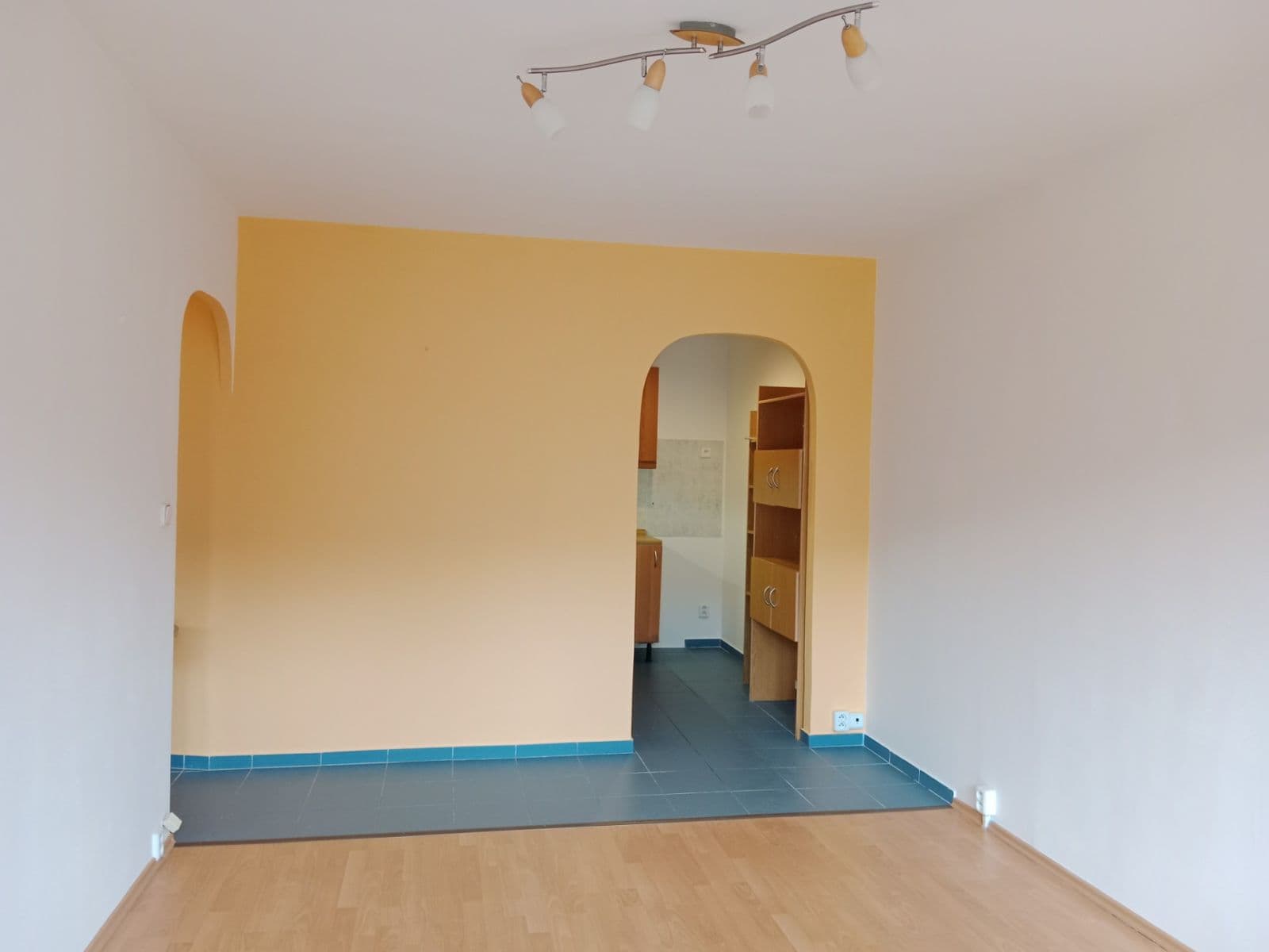 1 bedroom with open-plan kitchen flat to rent, 45 m², U Děkanky, Prague, Prague 1 bedroom with open-plan kitchen flat to rent, 45 m², U Děkanky, Prague, Prague