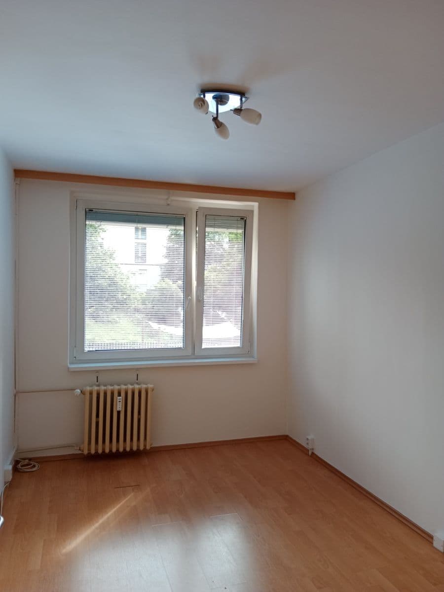 1 bedroom with open-plan kitchen flat to rent, 45 m², U Děkanky, Prague, Prague 1 bedroom with open-plan kitchen flat to rent, 45 m², U Děkanky, Prague, Prague