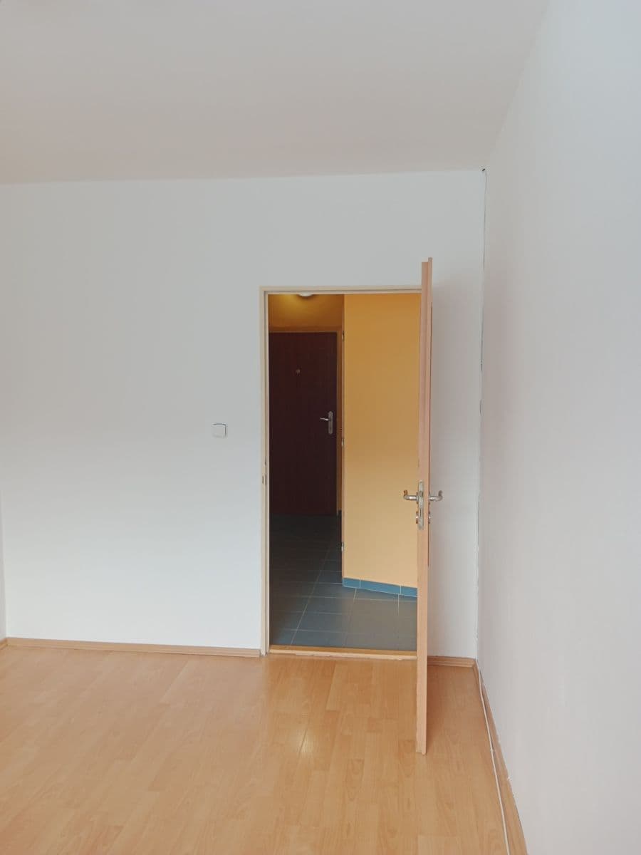 1 bedroom with open-plan kitchen flat to rent, 45 m², U Děkanky, Prague, Prague 1 bedroom with open-plan kitchen flat to rent, 45 m², U Děkanky, Prague, Prague