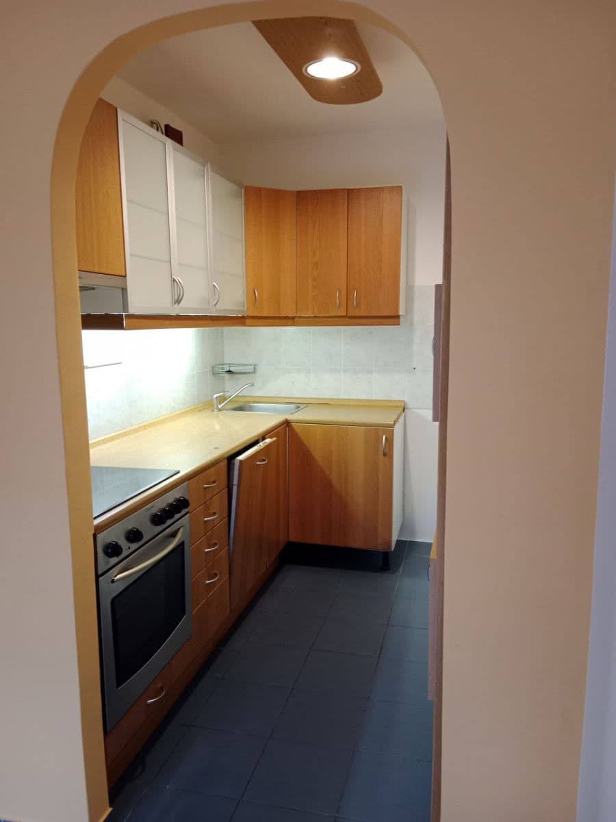 1 bedroom with open-plan kitchen flat to rent, 45 m², U Děkanky, Prague, Prague 1 bedroom with open-plan kitchen flat to rent, 45 m², U Děkanky, Prague, Prague
