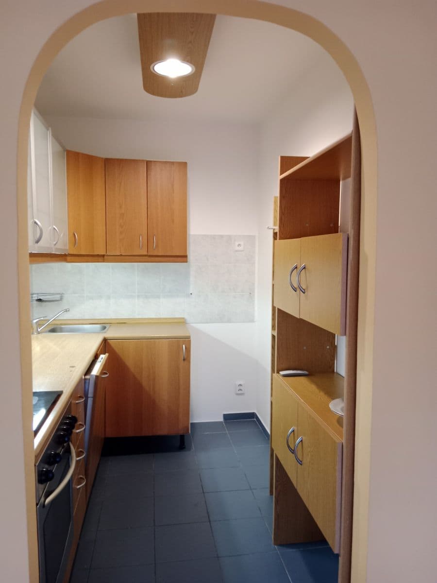 1 bedroom with open-plan kitchen flat to rent, 45 m², U Děkanky, Prague, Prague 1 bedroom with open-plan kitchen flat to rent, 45 m², U Děkanky, Prague, Prague