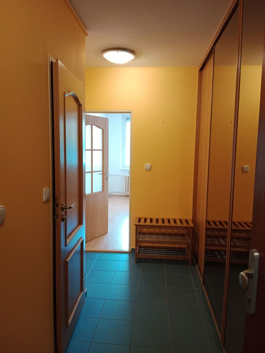 1 bedroom with open-plan kitchen flat to rent, 45 m², U Děkanky, Prague, Prague 1 bedroom with open-plan kitchen flat to rent, 45 m², U Děkanky, Prague, Prague