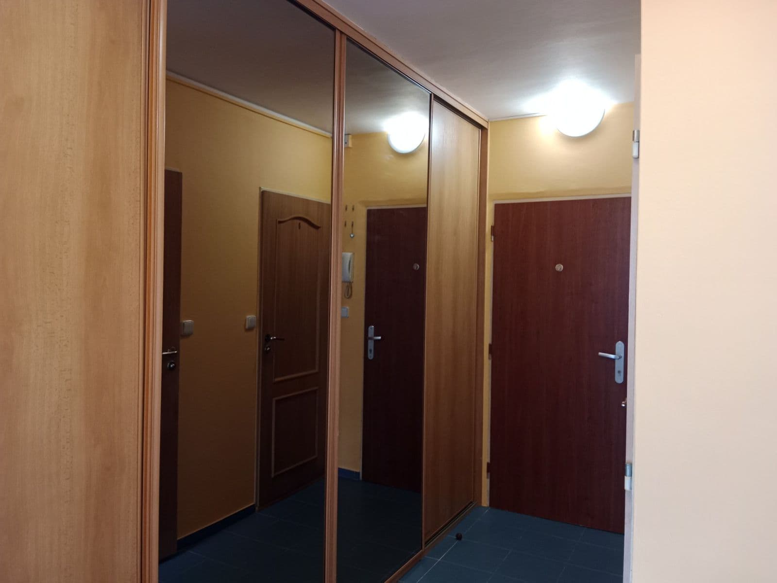 1 bedroom with open-plan kitchen flat to rent, 45 m², U Děkanky, Prague, Prague 1 bedroom with open-plan kitchen flat to rent, 45 m², U Děkanky, Prague, Prague
