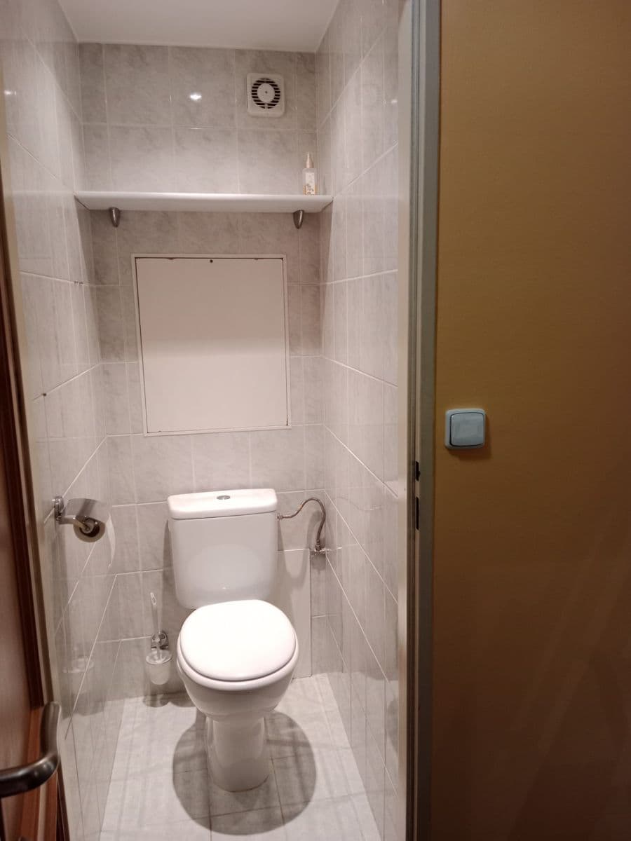 1 bedroom with open-plan kitchen flat to rent, 45 m², U Děkanky, Prague, Prague 1 bedroom with open-plan kitchen flat to rent, 45 m², U Děkanky, Prague, Prague
