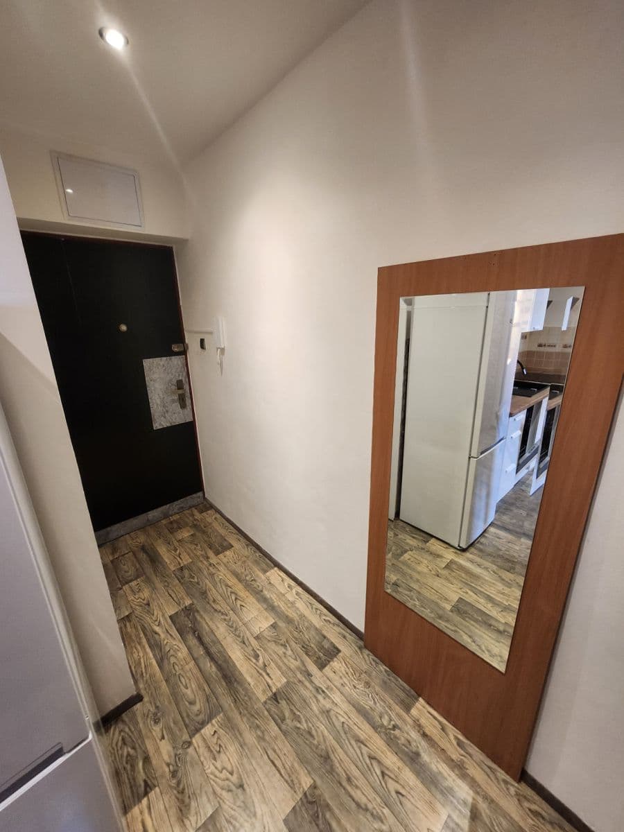 Small studio flat to rent, 36 m², Podolská, Prague, Prague Small studio flat to rent, 36 m², Podolská, Prague, Prague