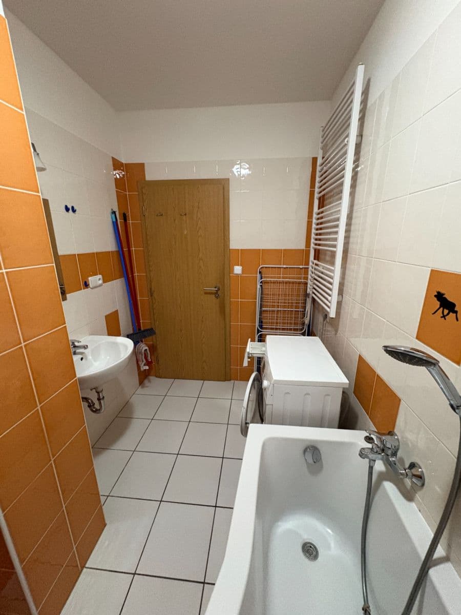 Studio flat to rent, 41 m², Božetěchova, Brno, Jihomoravský Region Studio flat to rent, 41 m², Božetěchova, Brno, Jihomoravský Region