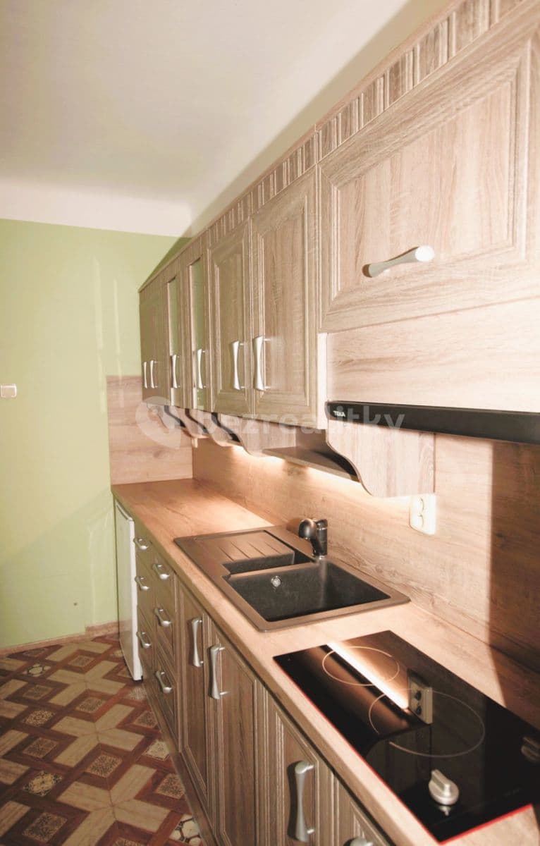 1 bedroom with open-plan kitchen flat to rent, 47 m², Převoznická 5, Prague, Prague 1 bedroom with open-plan kitchen flat to rent, 47 m², Převoznická 5, Prague, Prague