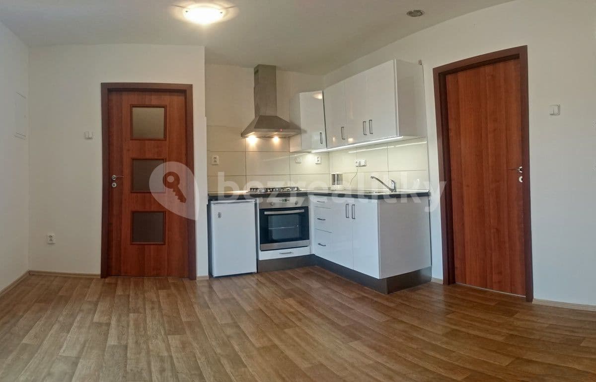 2 bedroom with open-plan kitchen flat to rent, 65 m², Na Parkáně, Prague, Prague 2 bedroom with open-plan kitchen flat to rent, 65 m², Na Parkáně, Prague, Prague