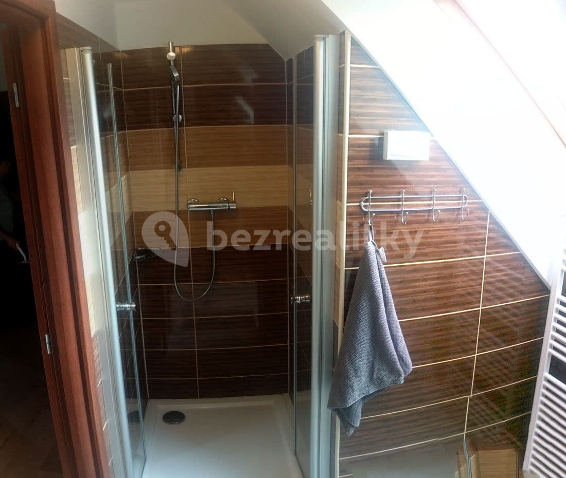 2 bedroom with open-plan kitchen flat to rent, 65 m², Na Parkáně, Prague, Prague 2 bedroom with open-plan kitchen flat to rent, 65 m², Na Parkáně, Prague, Prague