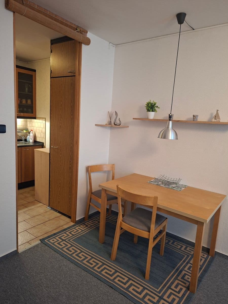 1 bedroom with open-plan kitchen flat to rent, 46 m², Donovalská, Prague, Prague 1 bedroom with open-plan kitchen flat to rent, 46 m², Donovalská, Prague, Prague