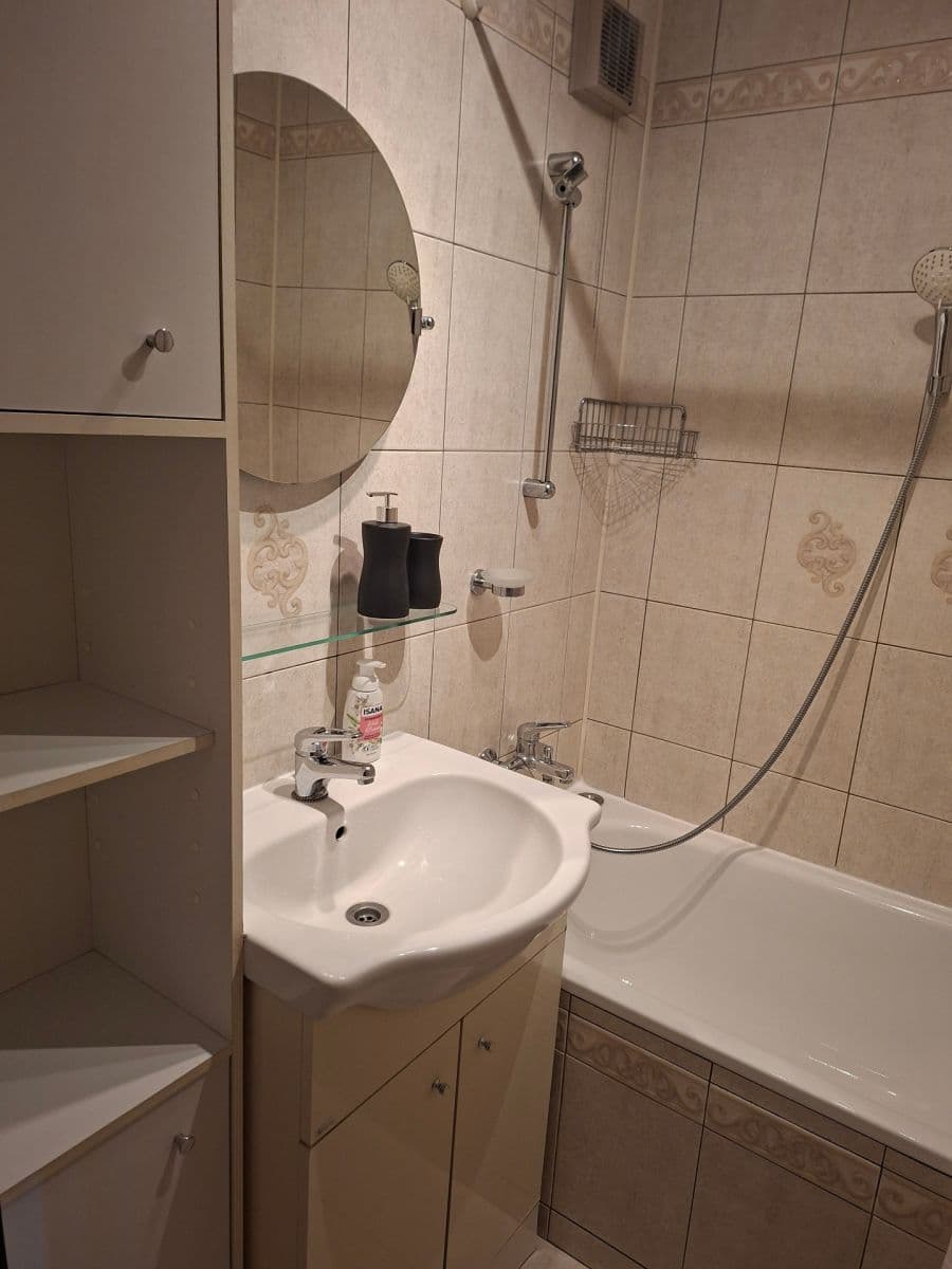 1 bedroom with open-plan kitchen flat to rent, 46 m², Donovalská, Prague, Prague 1 bedroom with open-plan kitchen flat to rent, 46 m², Donovalská, Prague, Prague