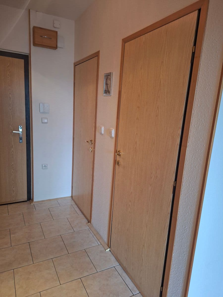 1 bedroom with open-plan kitchen flat to rent, 46 m², Donovalská, Prague, Prague 1 bedroom with open-plan kitchen flat to rent, 46 m², Donovalská, Prague, Prague