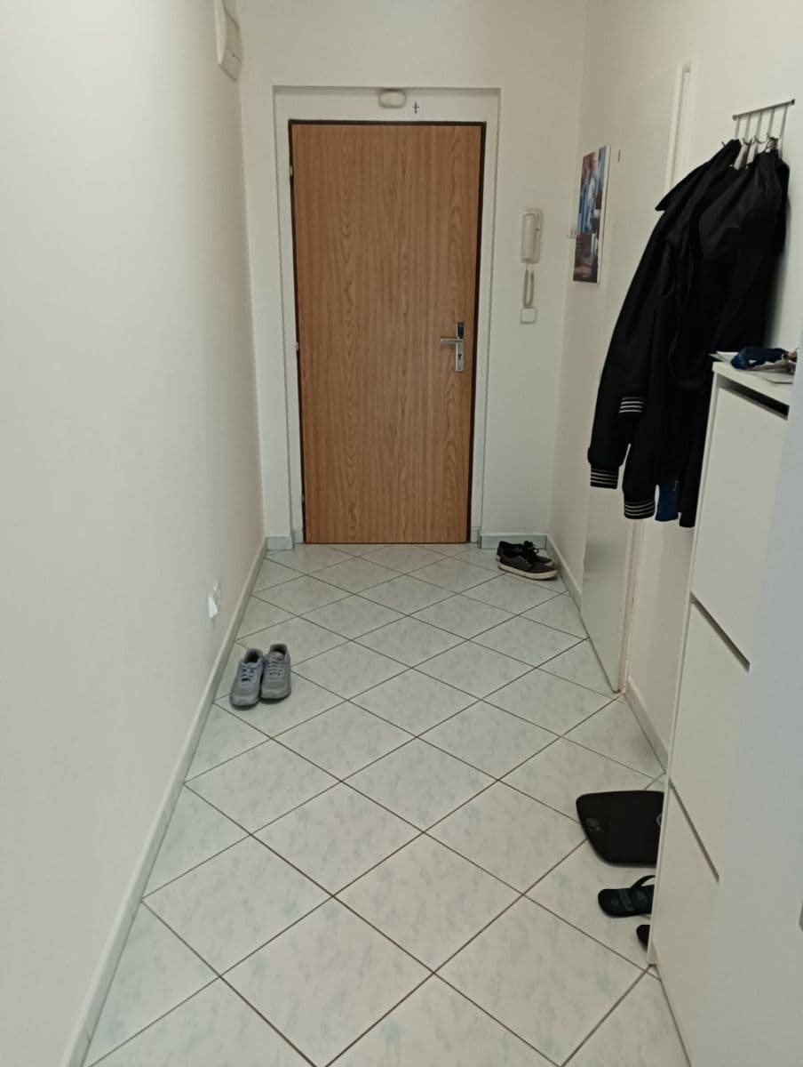 1 bedroom with open-plan kitchen flat to rent, 51 m², Lipnická, Prague, Prague 1 bedroom with open-plan kitchen flat to rent, 51 m², Lipnická, Prague, Prague