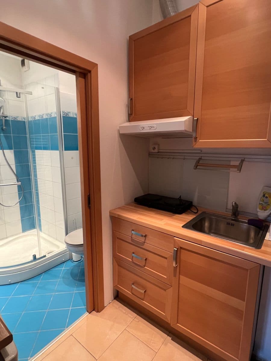 Studio flat to rent, 28 m², Cihlářská, Brno, Jihomoravský Region Studio flat to rent, 28 m², Cihlářská, Brno, Jihomoravský Region