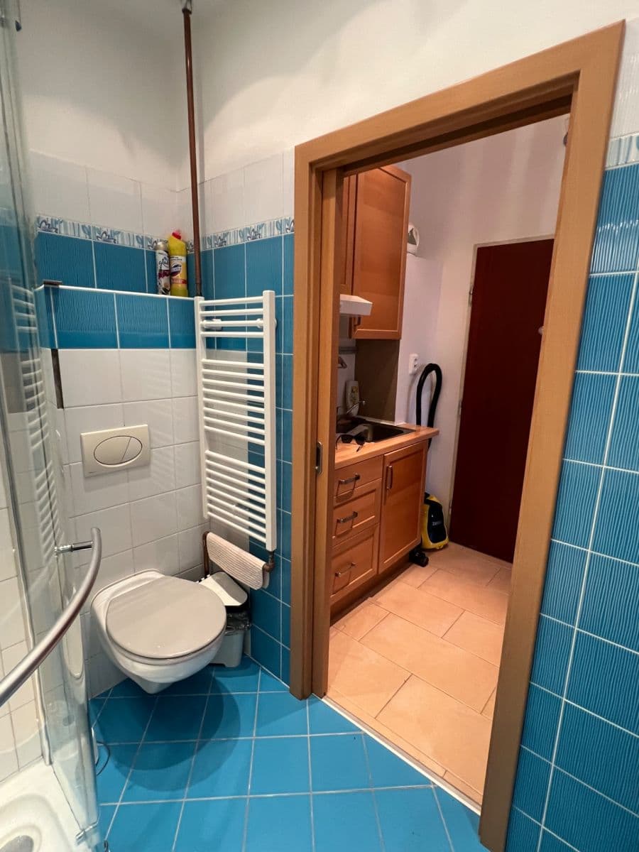 Studio flat to rent, 28 m², Cihlářská, Brno, Jihomoravský Region Studio flat to rent, 28 m², Cihlářská, Brno, Jihomoravský Region