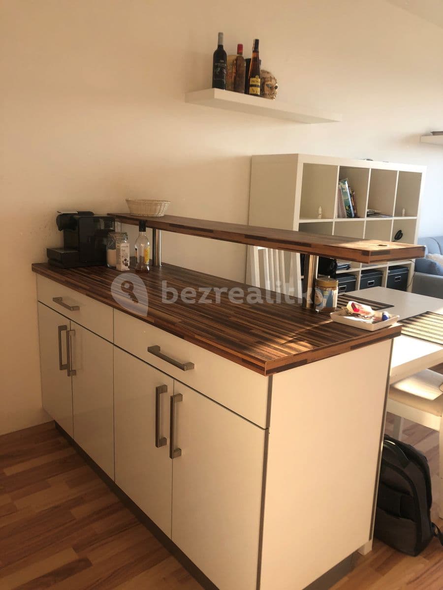 1 bedroom with open-plan kitchen flat to rent, 43 m², Freyova, Prague, Prague 1 bedroom with open-plan kitchen flat to rent, 43 m², Freyova, Prague, Prague