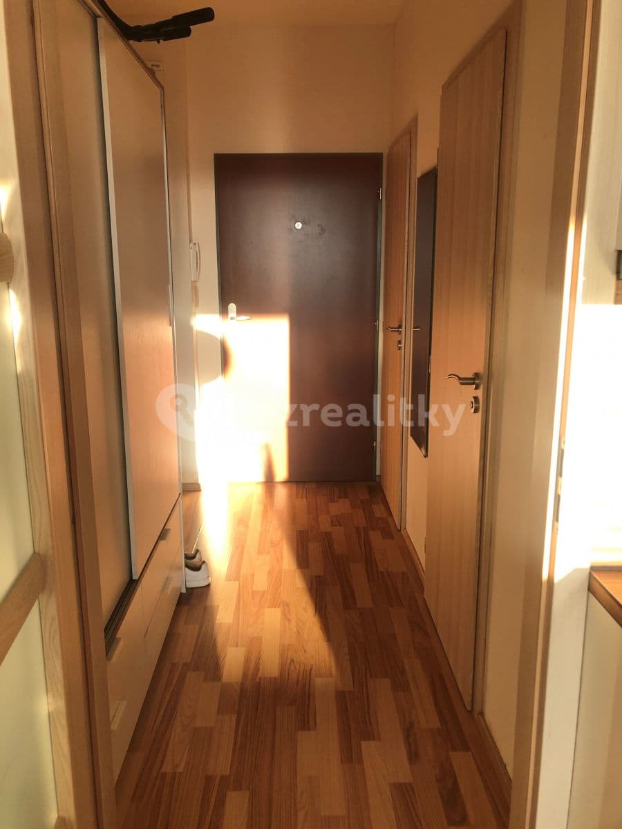 1 bedroom with open-plan kitchen flat to rent, 43 m², Freyova, Prague, Prague 1 bedroom with open-plan kitchen flat to rent, 43 m², Freyova, Prague, Prague