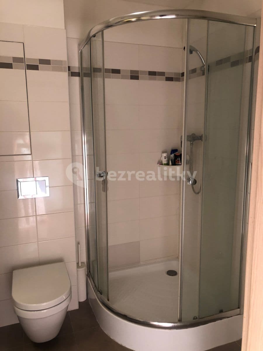1 bedroom with open-plan kitchen flat to rent, 43 m², Freyova, Prague, Prague 1 bedroom with open-plan kitchen flat to rent, 43 m², Freyova, Prague, Prague
