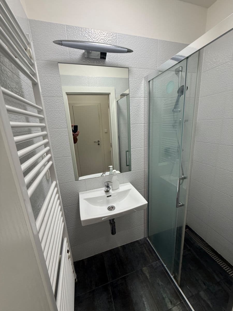 2 bedroom flat to rent, 46 m², Nad Panenskou, Prague, Prague 2 bedroom flat to rent, 46 m², Nad Panenskou, Prague, Prague