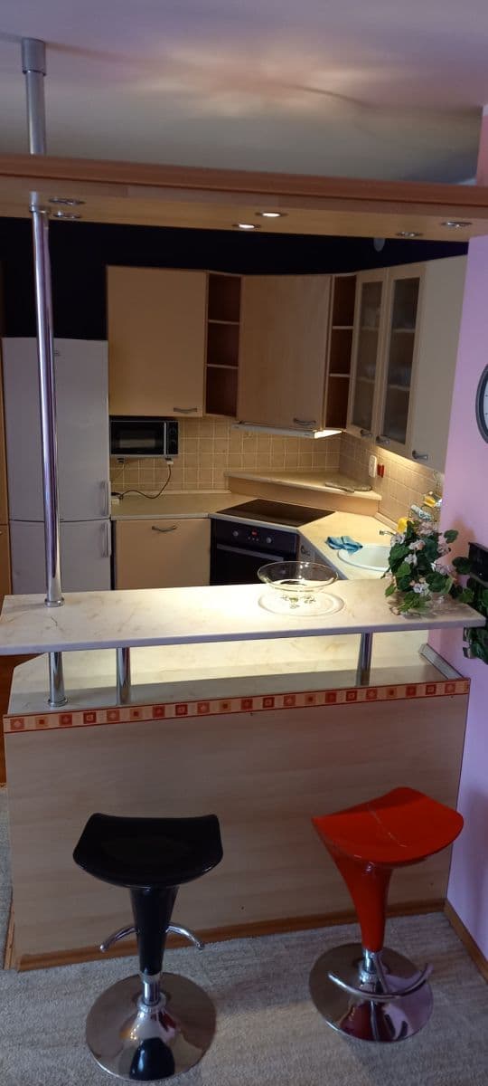 1 bedroom with open-plan kitchen flat to rent, 43 m², Högerova, Prague, Prague 1 bedroom with open-plan kitchen flat to rent, 43 m², Högerova, Prague, Prague