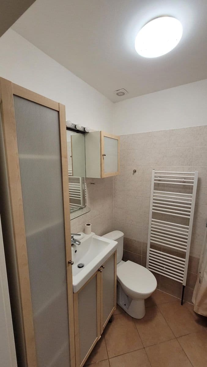 1 bedroom with open-plan kitchen flat to rent, 39 m², Švehlova, Šlapanice, Jihomoravský Region 1 bedroom with open-plan kitchen flat to rent, 39 m², Švehlova, Šlapanice, Jihomoravský Region