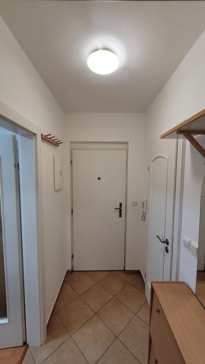 1 bedroom with open-plan kitchen flat to rent, 39 m², Švehlova, Šlapanice, Jihomoravský Region 1 bedroom with open-plan kitchen flat to rent, 39 m², Švehlova, Šlapanice, Jihomoravský Region