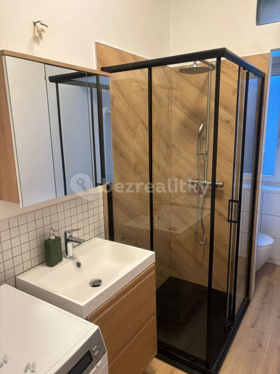 1 bedroom with open-plan kitchen flat to rent, 30 m², Prague, Prague 1 bedroom with open-plan kitchen flat to rent, 30 m², Prague, Prague