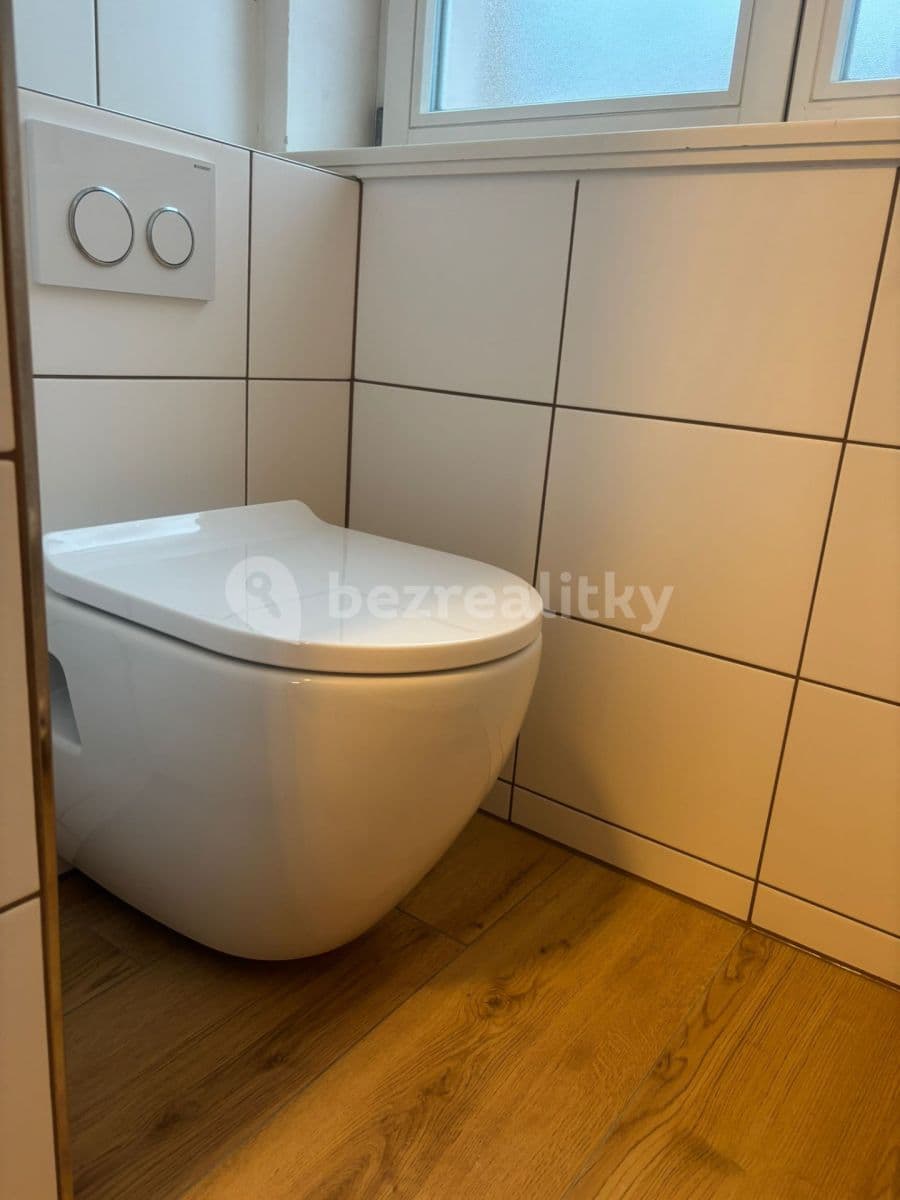 1 bedroom with open-plan kitchen flat to rent, 30 m², Prague, Prague 1 bedroom with open-plan kitchen flat to rent, 30 m², Prague, Prague