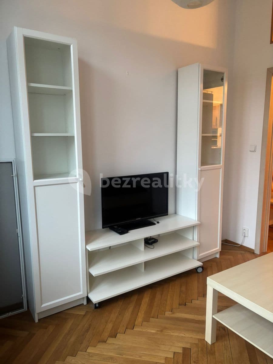 1 bedroom with open-plan kitchen flat to rent, 30 m², Prague, Prague 1 bedroom with open-plan kitchen flat to rent, 30 m², Prague, Prague