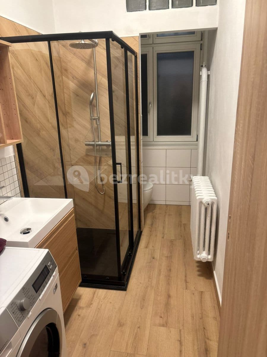 1 bedroom with open-plan kitchen flat to rent, 30 m², Prague, Prague 1 bedroom with open-plan kitchen flat to rent, 30 m², Prague, Prague