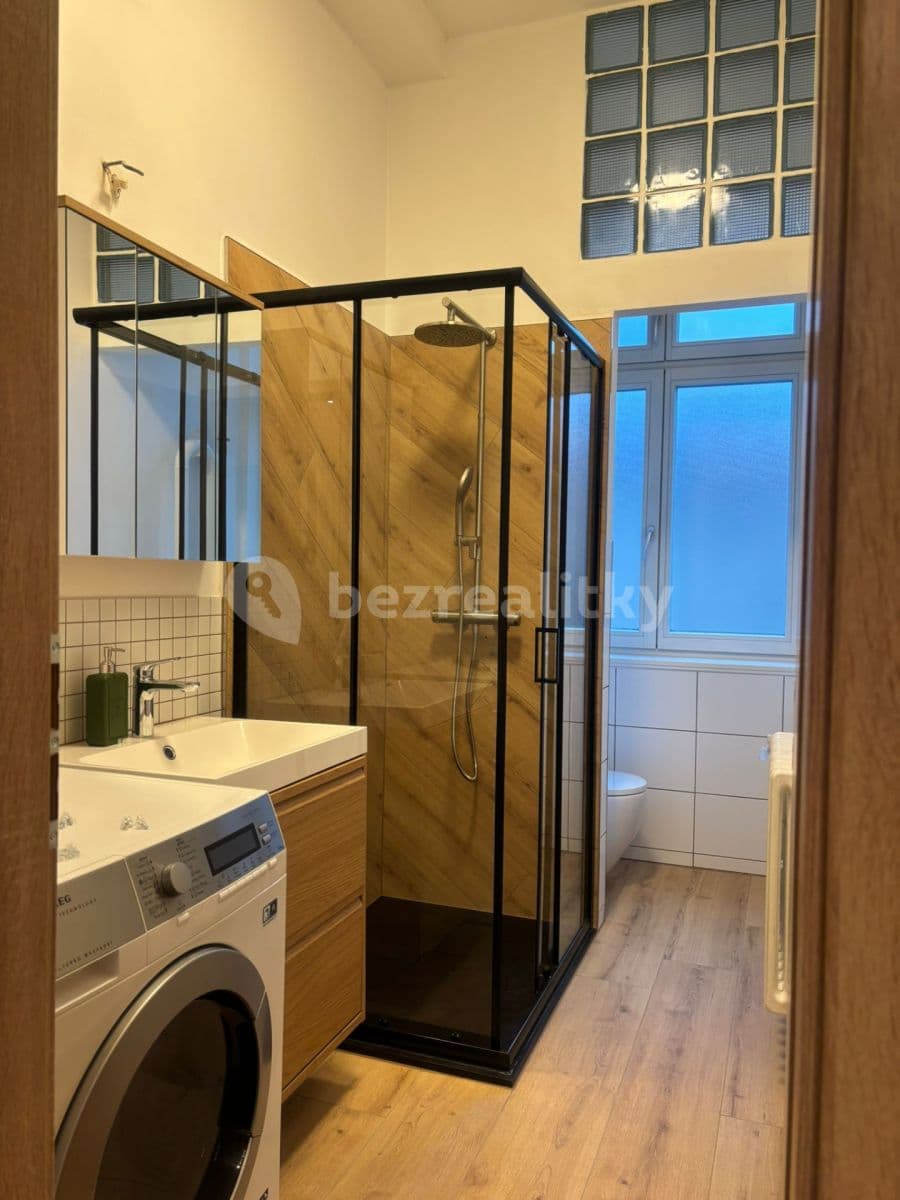 1 bedroom with open-plan kitchen flat to rent, 30 m², Prague, Prague 1 bedroom with open-plan kitchen flat to rent, 30 m², Prague, Prague