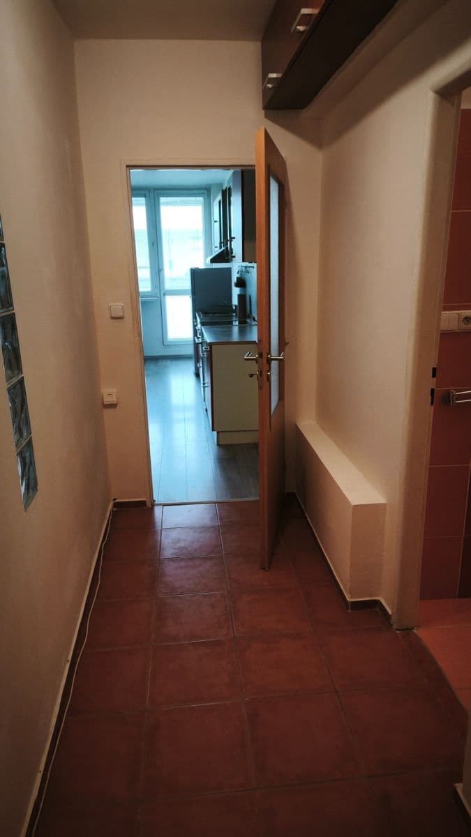 1 bedroom with open-plan kitchen flat to rent, 41 m², Na Topolce, Prague, Prague 1 bedroom with open-plan kitchen flat to rent, 41 m², Na Topolce, Prague, Prague
