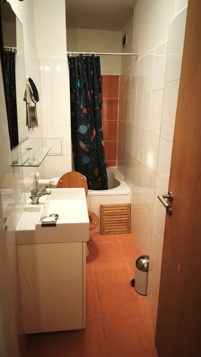 1 bedroom with open-plan kitchen flat to rent, 41 m², Na Topolce, Prague, Prague 1 bedroom with open-plan kitchen flat to rent, 41 m², Na Topolce, Prague, Prague