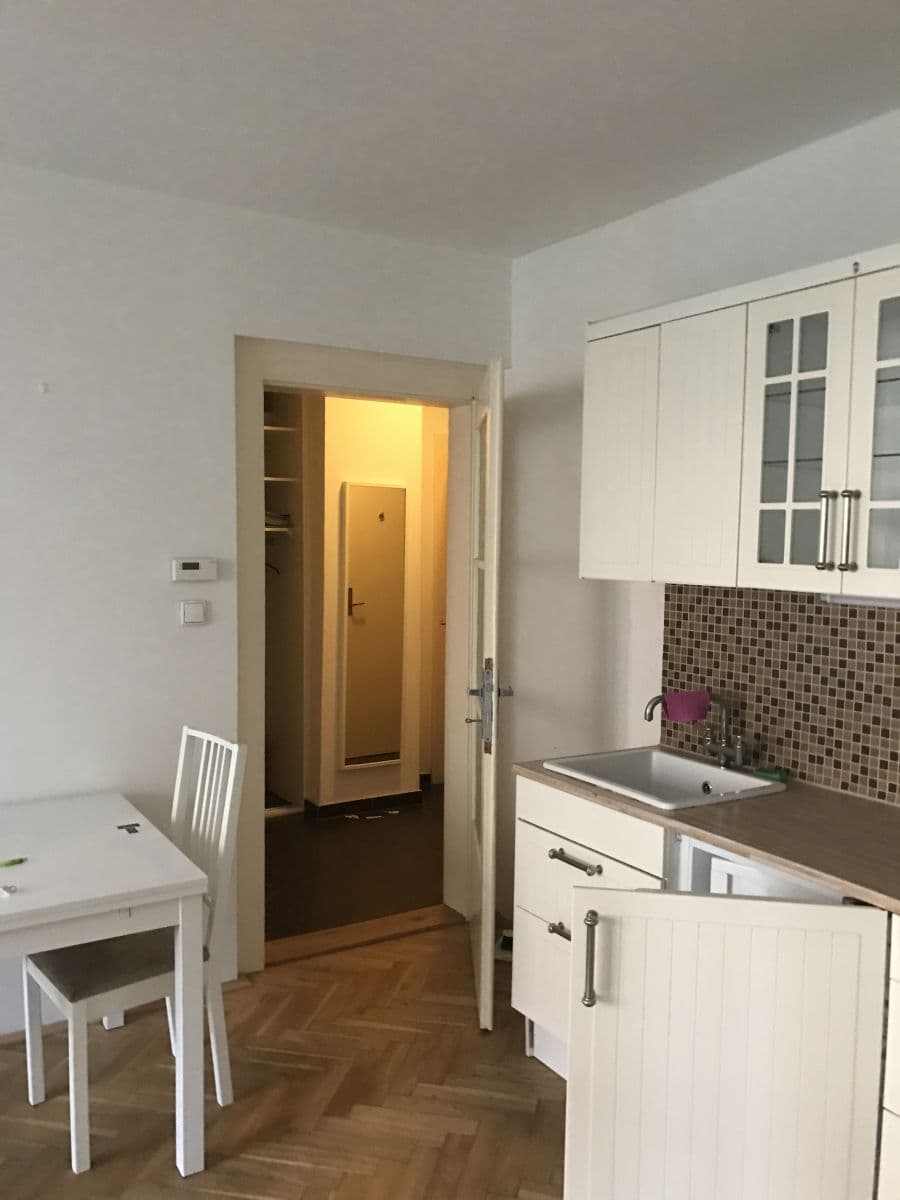 1 bedroom with open-plan kitchen flat to rent, 42 m², Jugoslávských partyzánů, Prague, Prague 1 bedroom with open-plan kitchen flat to rent, 42 m², Jugoslávských partyzánů, Prague, Prague