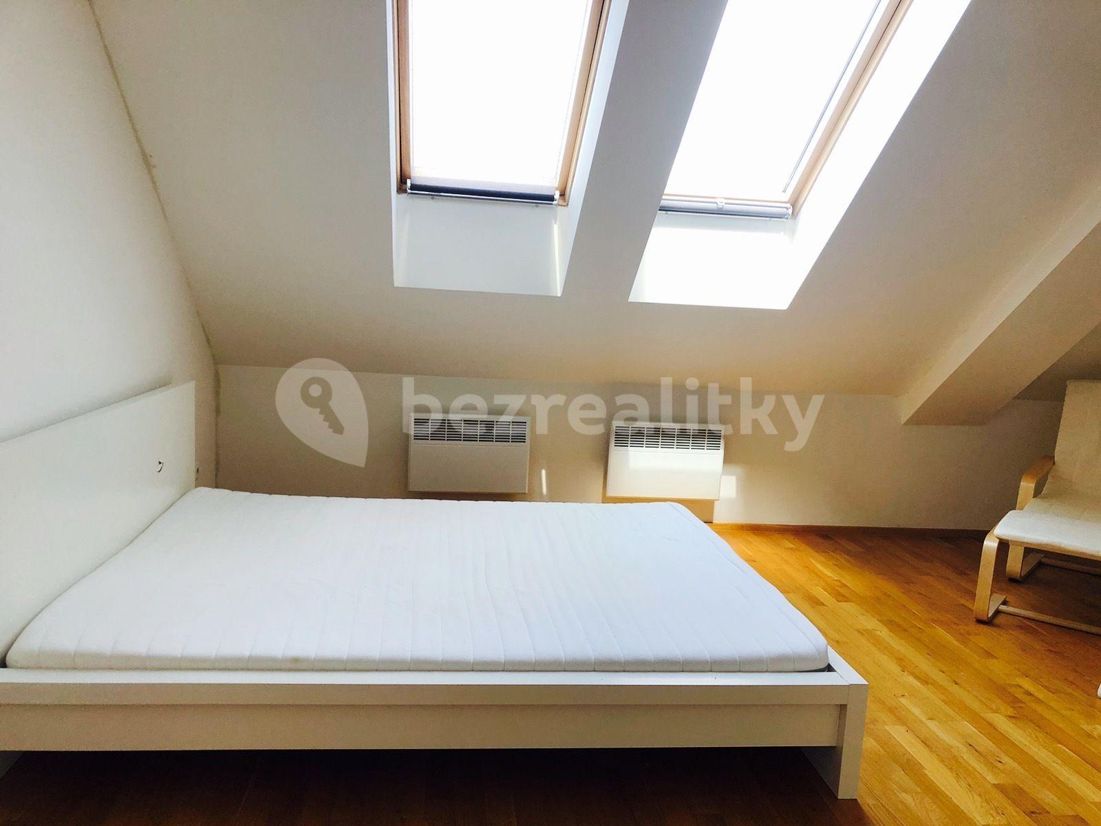 Small studio flat to rent, 38 m², Na žertvách, Prague, Prague