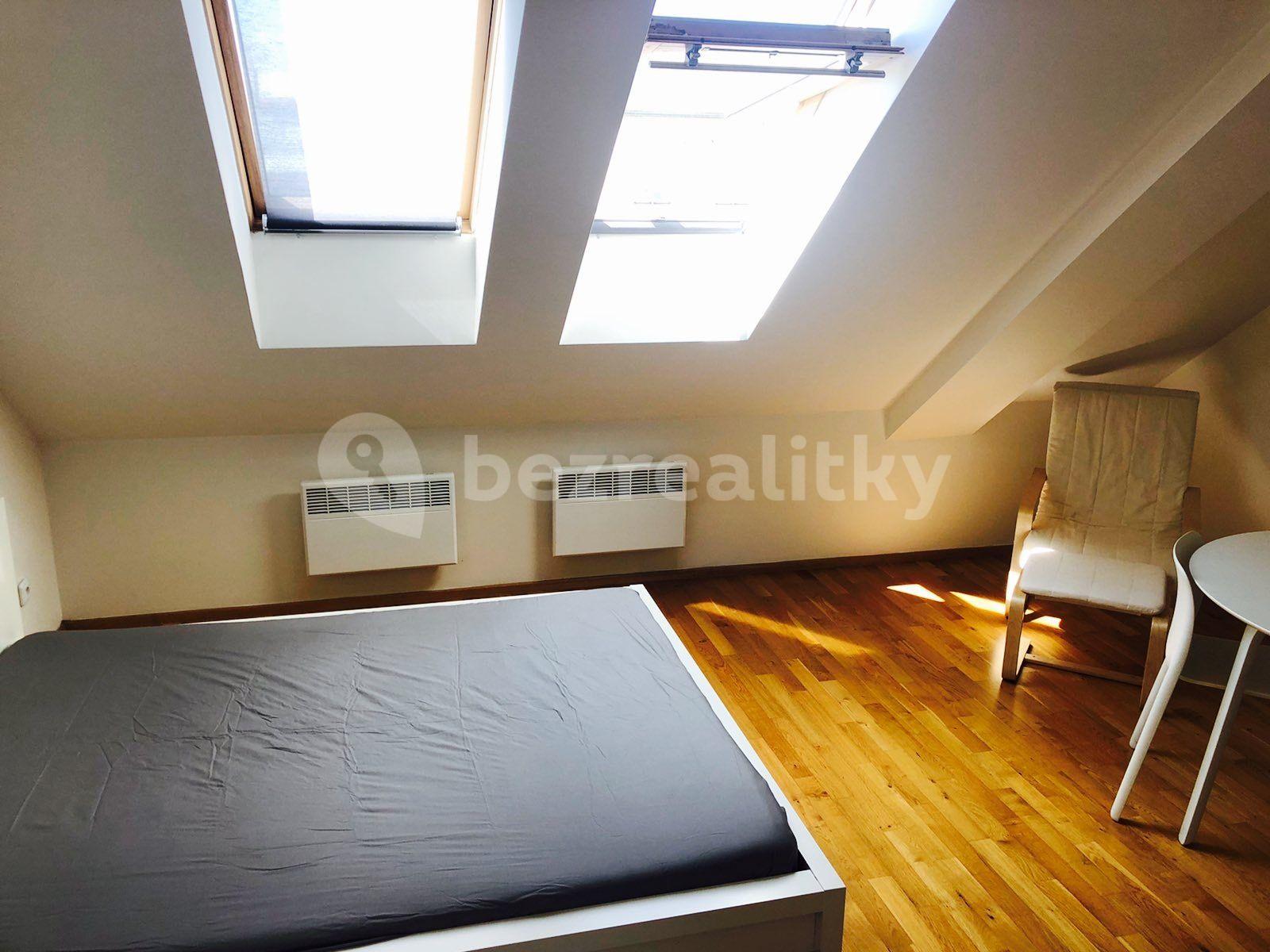 Small studio flat to rent, 38 m², Na žertvách, Prague, Prague