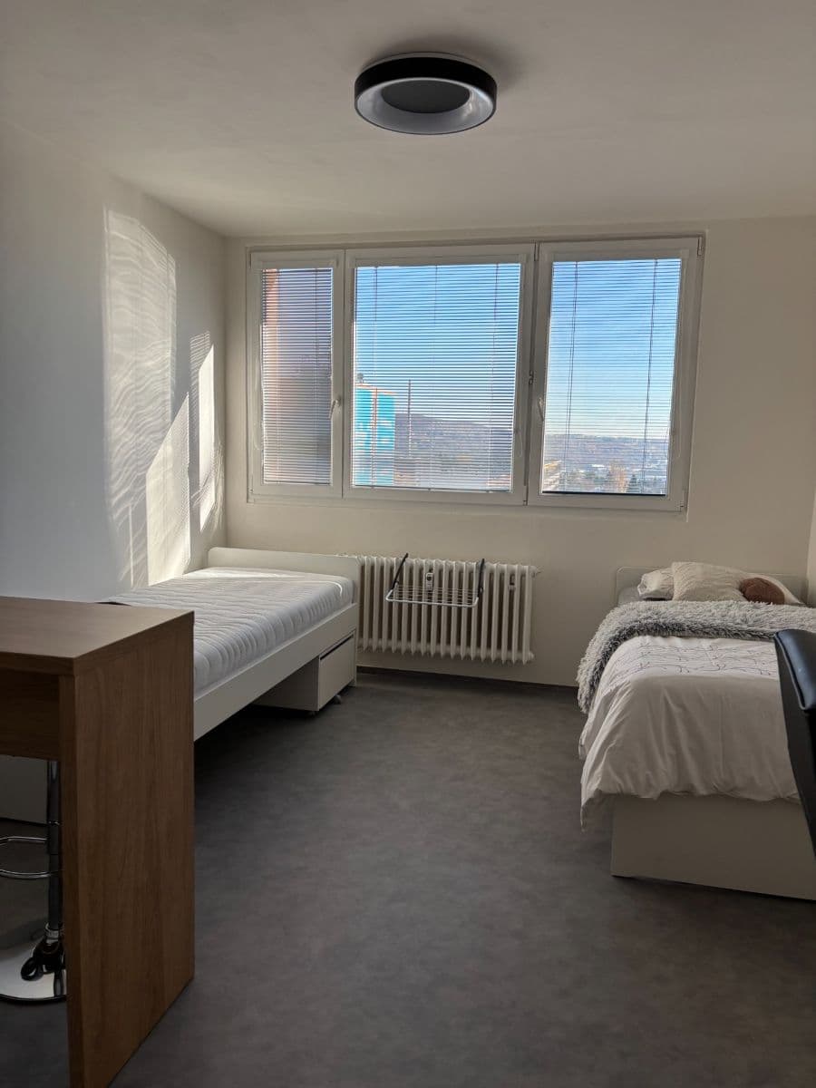 Studio flat to rent, 24 m², Halasovo náměstí, Brno, Jihomoravský Region Studio flat to rent, 24 m², Halasovo náměstí, Brno, Jihomoravský Region