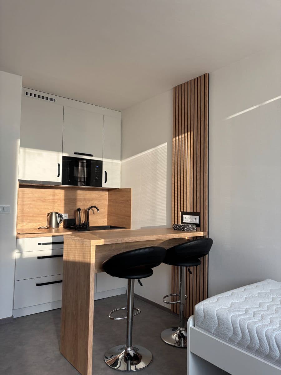 Studio flat to rent, 24 m², Halasovo náměstí, Brno, Jihomoravský Region Studio flat to rent, 24 m², Halasovo náměstí, Brno, Jihomoravský Region