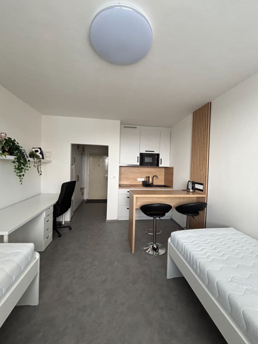 Studio flat to rent, 24 m², Halasovo náměstí, Brno, Jihomoravský Region Studio flat to rent, 24 m², Halasovo náměstí, Brno, Jihomoravský Region