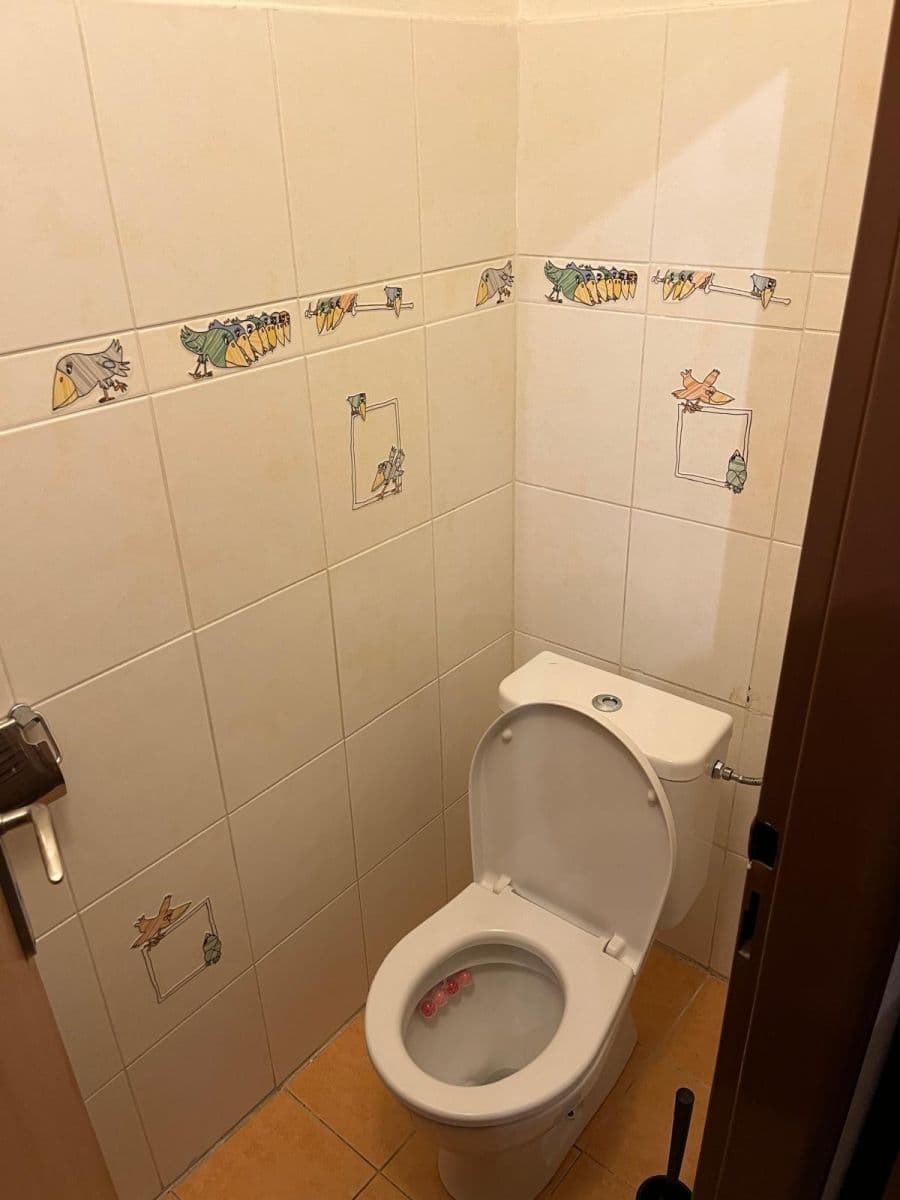 2 bedroom flat to rent, 52 m², Gutova, Prague, Prague 2 bedroom flat to rent, 52 m², Gutova, Prague, Prague