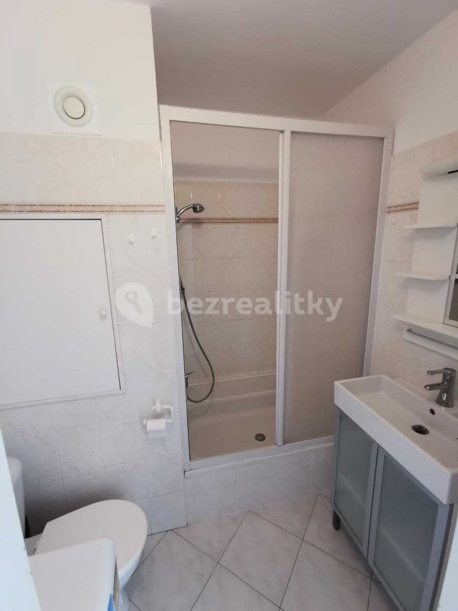 1 bedroom with open-plan kitchen flat to rent, 44 m², Neustupného, Prague, Prague 1 bedroom with open-plan kitchen flat to rent, 44 m², Neustupného, Prague, Prague