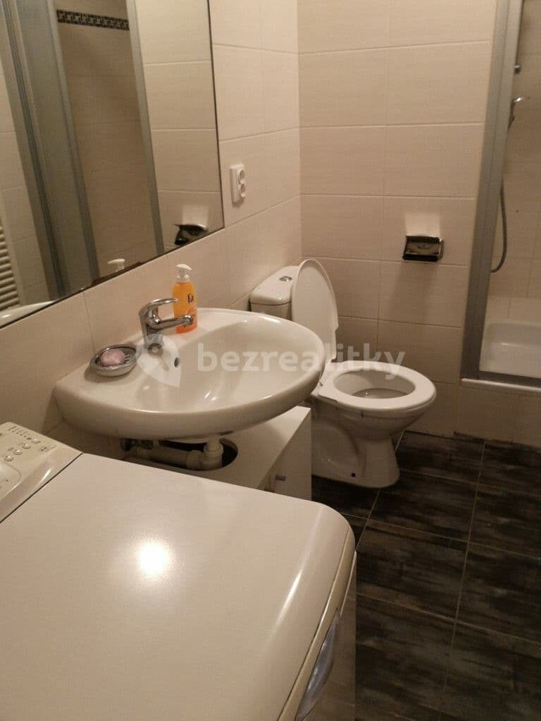 1 bedroom with open-plan kitchen flat to rent, 49 m², Purkyňova, Brno, Jihomoravský Region 1 bedroom with open-plan kitchen flat to rent, 49 m², Purkyňova, Brno, Jihomoravský Region