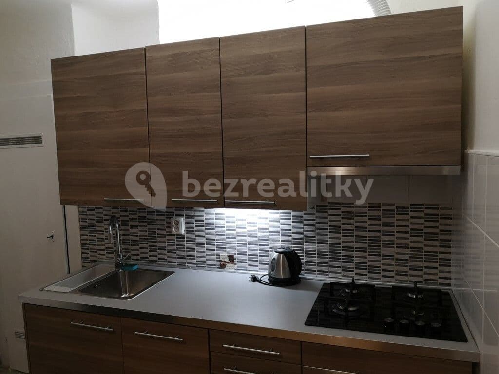 1 bedroom with open-plan kitchen flat to rent, 49 m², Purkyňova, Brno, Jihomoravský Region 1 bedroom with open-plan kitchen flat to rent, 49 m², Purkyňova, Brno, Jihomoravský Region