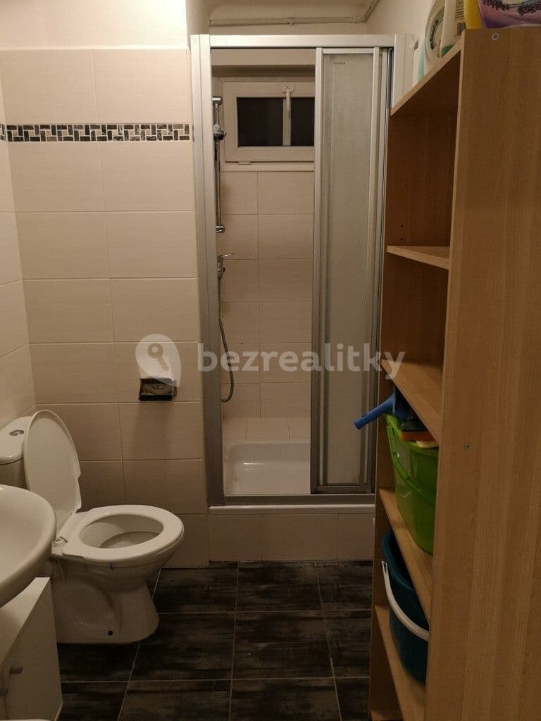 1 bedroom with open-plan kitchen flat to rent, 49 m², Purkyňova, Brno, Jihomoravský Region 1 bedroom with open-plan kitchen flat to rent, 49 m², Purkyňova, Brno, Jihomoravský Region