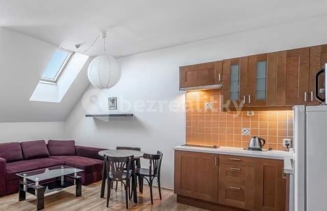 1 bedroom with open-plan kitchen flat to rent, 50 m², Jirsíkova, Prague, Prague 1 bedroom with open-plan kitchen flat to rent, 50 m², Jirsíkova, Prague, Prague