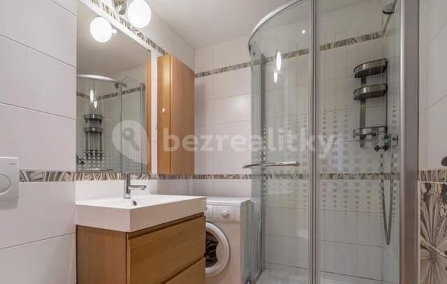 1 bedroom with open-plan kitchen flat to rent, 50 m², Jirsíkova, Prague, Prague 1 bedroom with open-plan kitchen flat to rent, 50 m², Jirsíkova, Prague, Prague